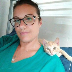 Meet your Posher, Zildjian